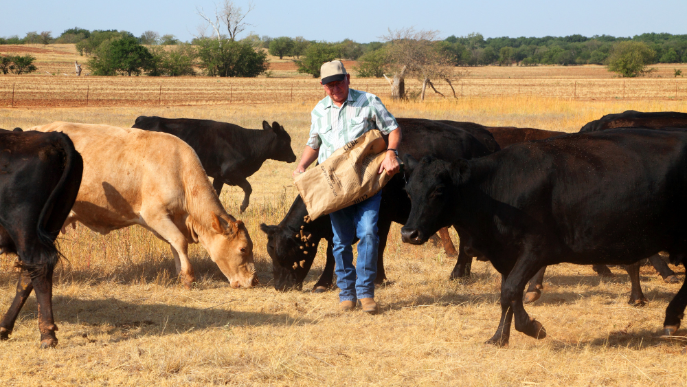 Agriculture career, Farm and Ranch Management name image